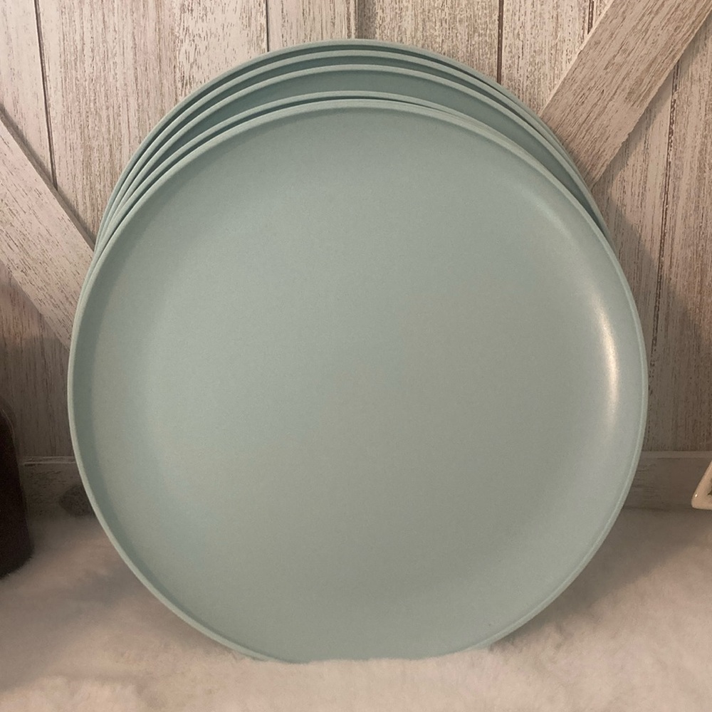 Target 2020 Plastic Dinner Plates in Light Blue